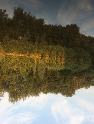 Reflejo de árboles y cielo en un lago en Camping de Speld, parque vacacional en Holanda Meridional, Países Bajos.