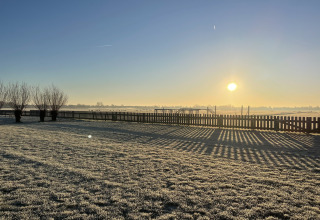 Alba a Camping de Speld, South-Holland, Paesi Bassi, prato gelato e ombre della recinzione sul terreno.