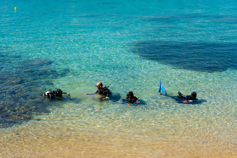 Buzos practicando en aguas cristalinas cerca de Cannigione di Arzachena, Cerdeña, Italia, junto a la costa.