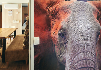 Gran mural de elefante en SunLodge Sabai con interior moderno y zona de comedor al fondo.