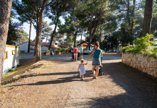 Familie går gennem solrig skov ved Camping Village Poljana, et feriested i Primorje-Gorski Kotar, Kroatien.