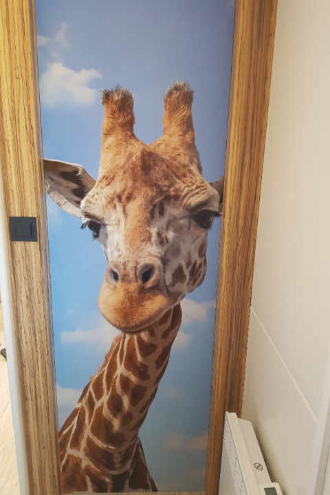 Photo en gros plan d'une girafe sur une porte, fond ciel bleu à SunLodge BigLeaf lodge, déco nature.