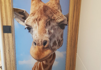Giraffe close-up op een deur met blauwe lucht, gefotografeerd bij SunLodge BigLeaf lodge.