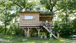 Kinderen spelen aan een boomhut op palen in een bosrijke omgeving met houten trap naar boven.