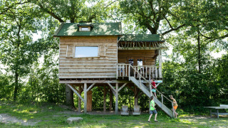 Niños jugando junto a una casa del árbol de madera sobre pilotes, rodeada de árboles y naturaleza.