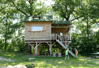 Children playing near a wooden treehouse on stilts, surrounded by trees, with stairs leading up.