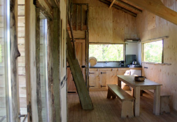 Interior view of Treehouse at Beloofde Land in the Netherlands featuring wood decor and kitchen area.