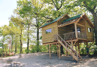 Baumhaus mit Veranda und Treppe im Wald, Beloofde Land, Niederlande, an einem sonnigen Tag.