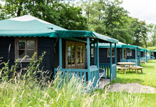 Række af hyggelige skovhytter med grønne tage på Beloofde Land, omgivet af natur og picnicborde.