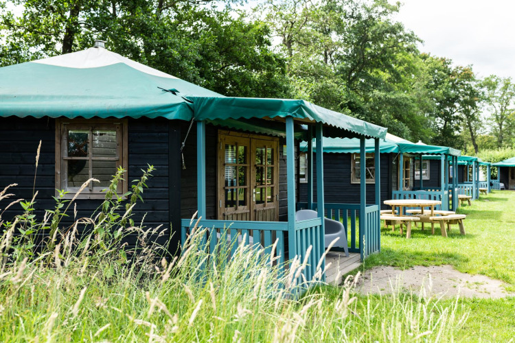 Row of forest cottages with green roofs at Beloofde Land, Netherlands, surrounded by nature and picnic tables.