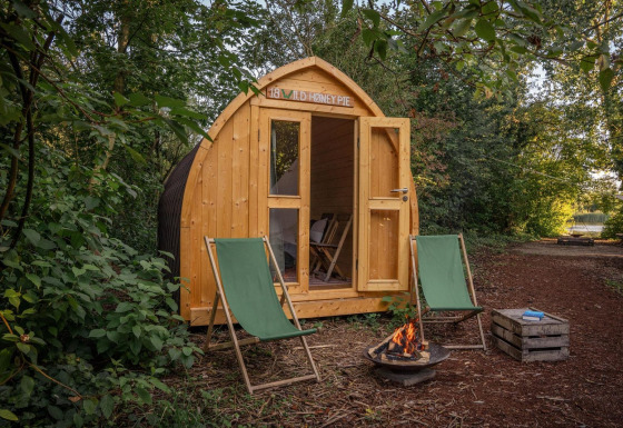 Cabaña de madera con puertas abiertas, dos tumbonas verdes y una hoguera en un entorno natural.
