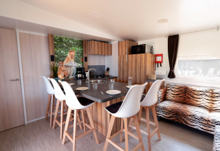 Cocina y comedor modernos en SunLodge Catalpa, con sofá de estampado de tigre y foto de monos en la pared.