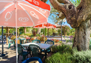 Outdoor café seating area with plastic chairs, tables, red umbrellas, trees and colorful garden scenery.