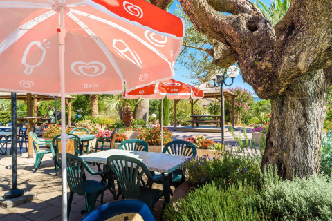 Espace repas extérieur avec chaises, tables en plastique, parasols rouges et végétation abondante au soleil.