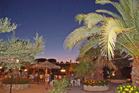 Vista al atardecer en Camping Leï Suves en Provenza, con palmeras, flores y personas en el área de descanso.