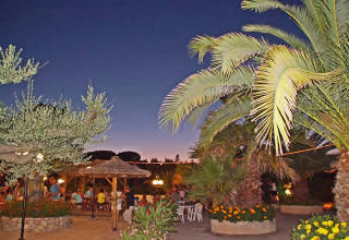 Evening view at Camping Leï Suves holiday park in Provence with palm trees, flowers, people and outdoor seating.