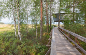 Træhytte med gangbro i en frodig skov ved Småland Miniglamping, Kalmar län, Sverige, set om sommeren.