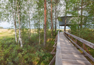 Cabane perchée et passerelle en bois à Småland Miniglamping, Kalmar län, Suède, au cœur de l’été.