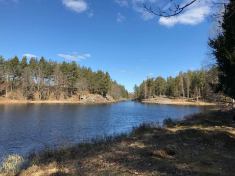Lago tranquilo y bosque de pinos bajo cielo azul en Småland Miniglamping, parque vacacional en Kalmar län, Suecia.
