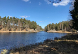 Rustig meer en dennenbos onder blauwe lucht bij Småland Miniglamping, vakantiepark in Kalmar län, Zweden.