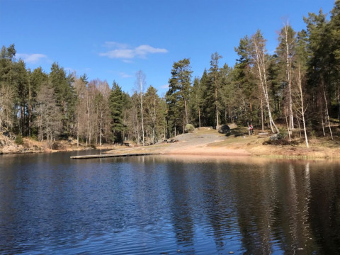 Lago tranquilo y bosque en Småland Miniglamping, un parque vacacional en Kalmar län, Suecia.