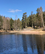 Lago tranquilo y bosque en Småland Miniglamping, un parque vacacional en Kalmar län, Suecia.