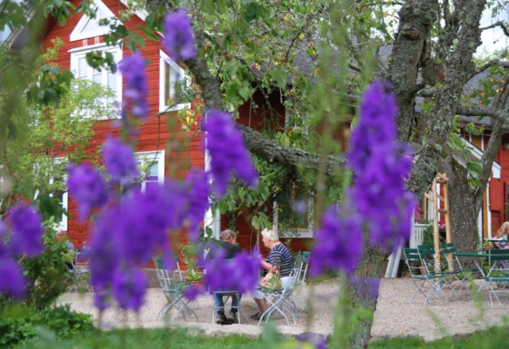 Fiori viola in primo piano e persone sedute ai tavoli davanti a una casa rossa a Småland Miniglamping, Svezia.