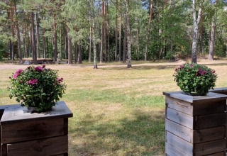 Vista desde una terraza de madera con macetas de flores hacia césped y bosque en Småland Miniglamping, Suecia.