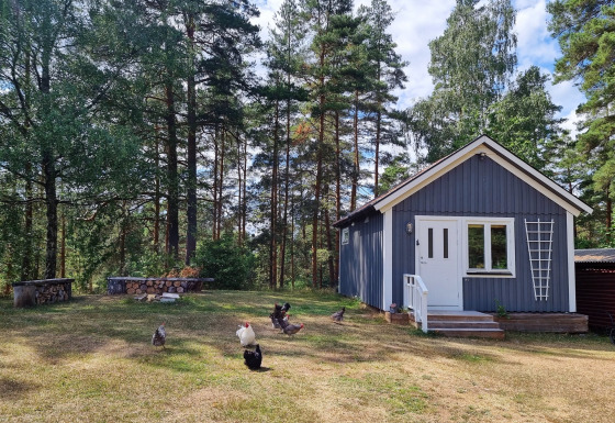 Blauwe houten hut met kippen op het gras, omgeven door bomen bij Stuga glamping, Småland Miniglamping, Zweden.