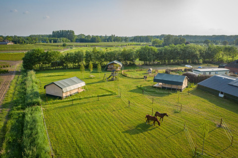 Vista aérea del parque vacacional Hoeve Klein Haneveld en Brabante Septentrional, Países Bajos, con caballos.