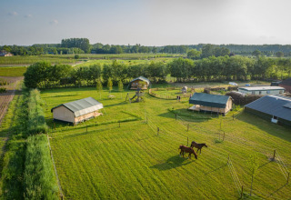 Hoeve Klein Haneveld, villaggio vacanze nel Brabante Settentrionale, Paesi Bassi, con cavalli e tende safari.