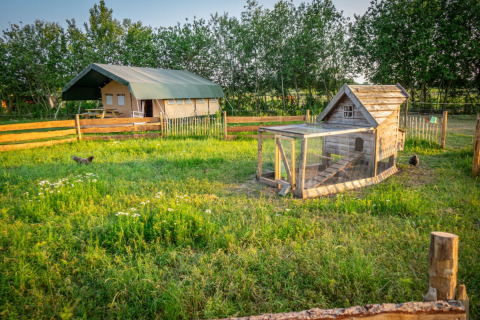 Imagen idílica en Hoeve Klein Haneveld con gallinero, pradera verde y tienda en North-Brabant, Países Bajos.