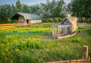 Scena bucolica a Hoeve Klein Haneveld con pollaio, campo verde e tenda nel Brabante Settentrionale, Paesi Bassi.