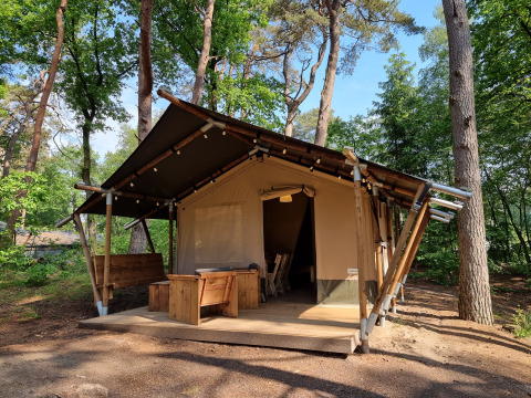 Tienda safari en un bosque, con terraza de madera y muebles exteriores, rodeada de altos árboles verdes.