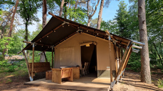 Safaritent in een bosrijke omgeving, met houten terras en tuinmeubilair, omringd door hoge bomen.
