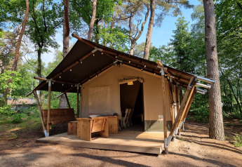 Tienda safari en un bosque, con terraza de madera y muebles exteriores, rodeada de altos árboles verdes.