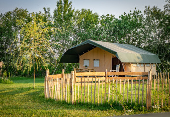 Tienda de safari en Hoeve Klein Haneveld rodeada de árboles verdes y una cerca de madera en la naturaleza.
