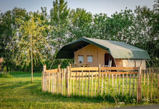 Tienda de safari en Hoeve Klein Haneveld rodeada de árboles verdes y una cerca de madera en la naturaleza.