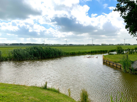 Paysage près de Berkhout, Hollande-Septentrionale, avec éoliennes, rivière, cygnes et ciel nuageux.