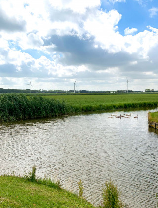 Paisaje cerca de Berkhout, Holanda Septentrional, con molinos de viento, río, cisnes y cielo nublado.