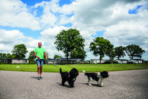 Uomo che passeggia con due cani in guinzaglio nel parco vacanze Park Westerkogge, Olanda Settentrionale.