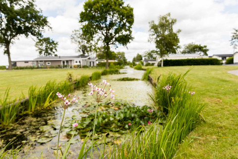 Schöner Blick auf einen Teich mit Blumen im Ferienpark Westerkogge, Nordholland, Niederlande, im Sommer.