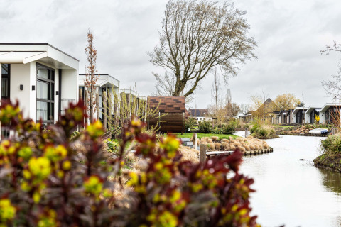 Casas de vacaciones modernas junto a un canal en Park Westerkogge, rodeadas de vegetación en Holanda del Norte, Países Bajos.