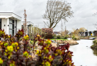 Moderne Ferienhäuser am Wasser im Park Westerkogge, umgeben von Pflanzen in Nordholland, Niederlande.