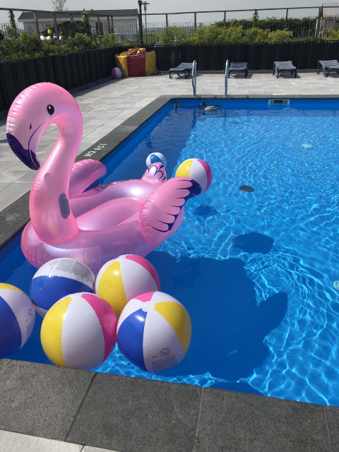 Piscina con fenicottero gonfiabile e palloni da spiaggia al Park Westerkogge, Olanda Settentrionale, Paesi Bassi.