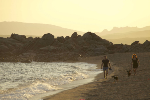 Deux personnes marchent avec deux chiens au coucher du soleil sur la plage du Camping Village Baia Blu La Tortuga, Sardaigne.