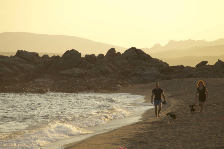 Twee mensen wandelen met twee honden langs het strand bij zonsondergang, Baia Blu La Tortuga, Sardinië.