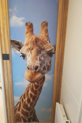 Imagen colorida de una jirafa curiosa en una puerta en SunLodge BigLeaf, Camping Cisano/San Vito, Italia.