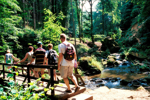 A group of people cross a wooden bridge in a lush, green holiday park near a stream in Mersch, Luxembourg.