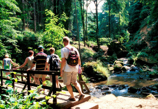 En gruppe mennesker går over en lille bro i en grøn, skovklædt naturpark ved en bæk i Mersch, Luxembourg.